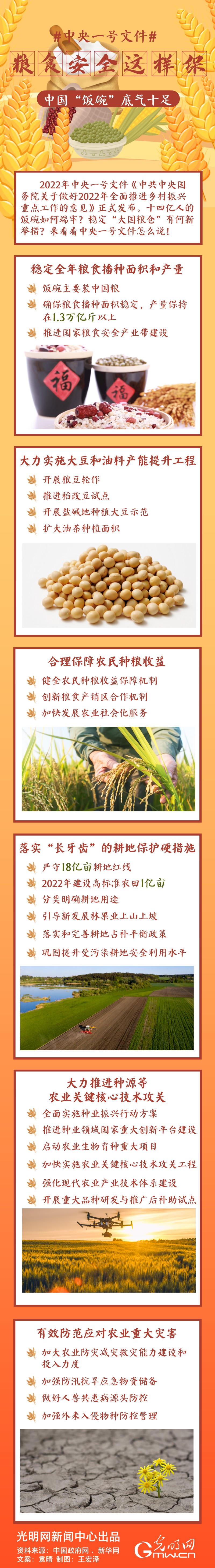 中央一號(hào)文件｜糧食安全這樣保，中國(guó)“飯碗”底氣十足