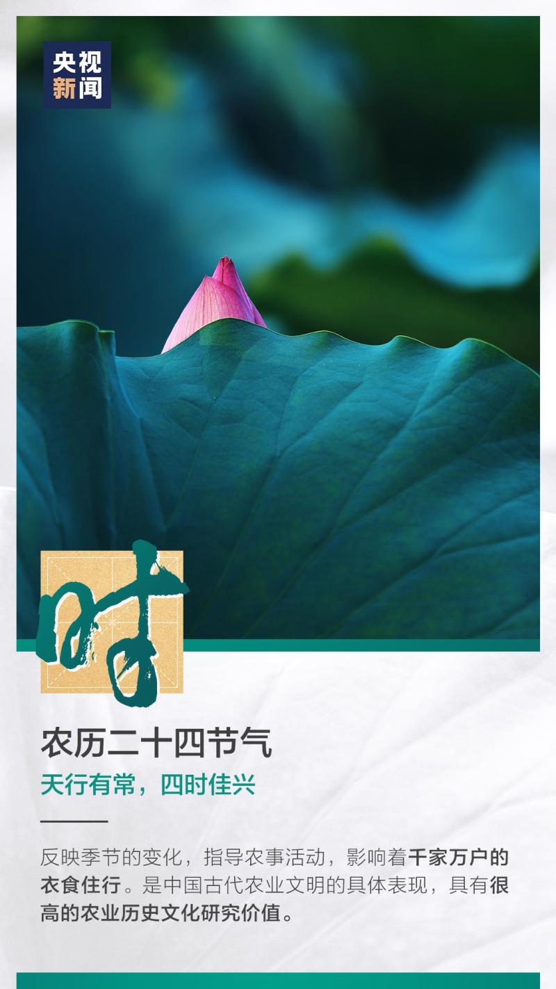這也太浪漫了吧！
