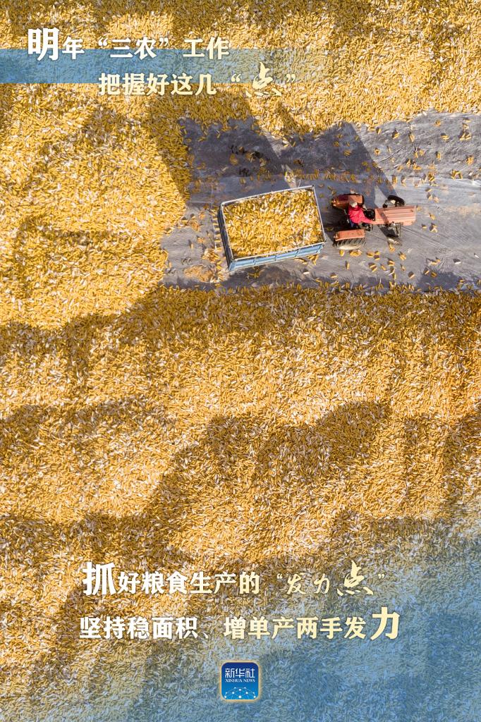 明年“三農(nóng)”工作，這幾個(gè)“點(diǎn)”要把握好