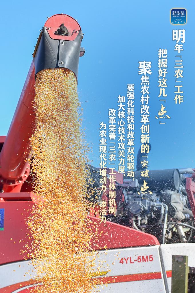 明年“三農(nóng)”工作，這幾個(gè)“點(diǎn)”要把握好