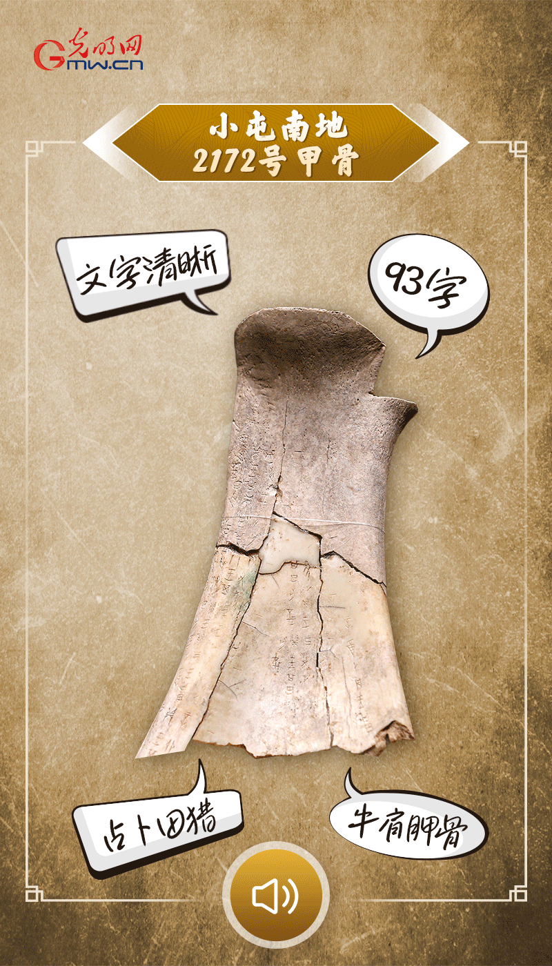 文物會(huì)說(shuō)話 | 殷墟博物館新館開館啦，帶你奔赴“千年之約”