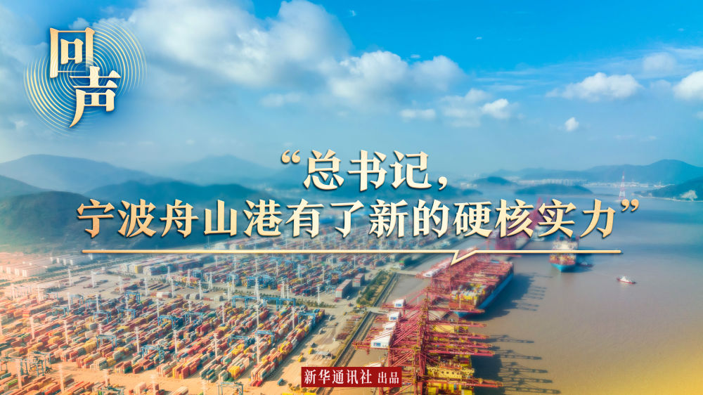 回聲｜“總書記，寧波舟山港有了新的硬核實力”
