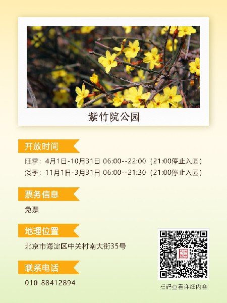 追花指南第二期！京城三月里最撩人的玉蘭觀賞地