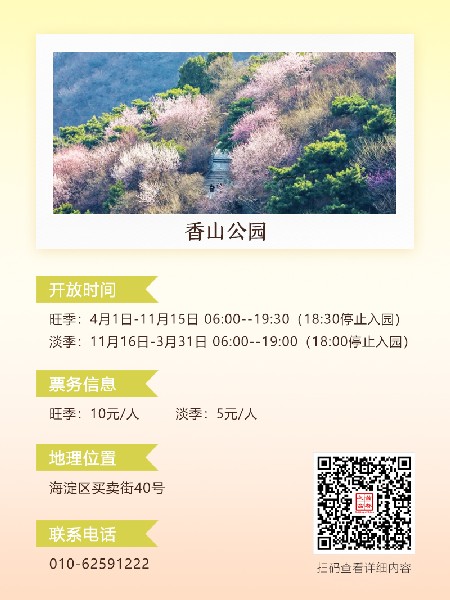追花指南第六期！杏花雨 楊柳風 北京最美的杏花在這里