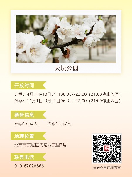 追花指南第六期！杏花雨 楊柳風 北京最美的杏花在這里