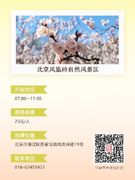 追花指南第六期！杏花雨 楊柳風 北京最美的杏花在這里