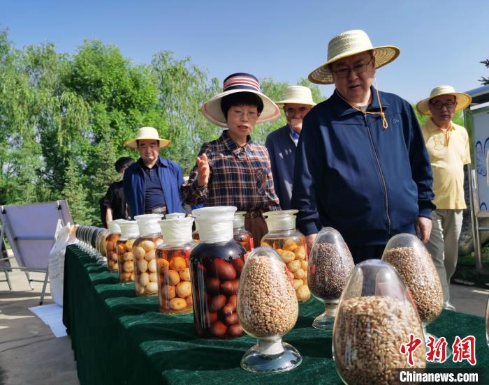 青海：利用冷涼氣候，打造高原綠色種業(yè)輸出地