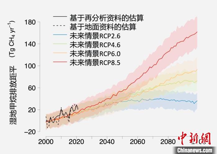 基于觀測的濕地甲烷排放變化與未來氣候變化情景下估算的對比?！≈锌圃呵嗖馗咴?供圖