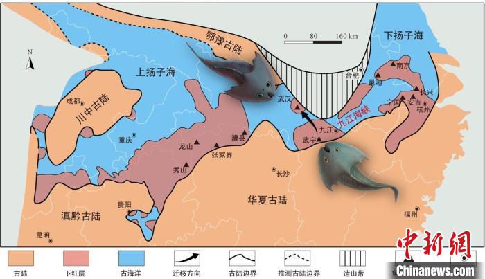 華南地區(qū)志留紀(jì)早期古地理圖和盔甲魚(yú)類(lèi)化石產(chǎn)地(山顯任改自陳旭、戎嘉余，1996；戎嘉余等，2012) 中科院古脊椎所 供圖
