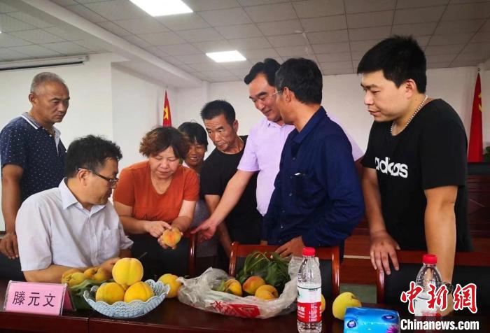 民進浙江省委會為三里橋黃桃種植戶送技術、送指導。　嘉善統(tǒng)戰(zhàn) 供圖