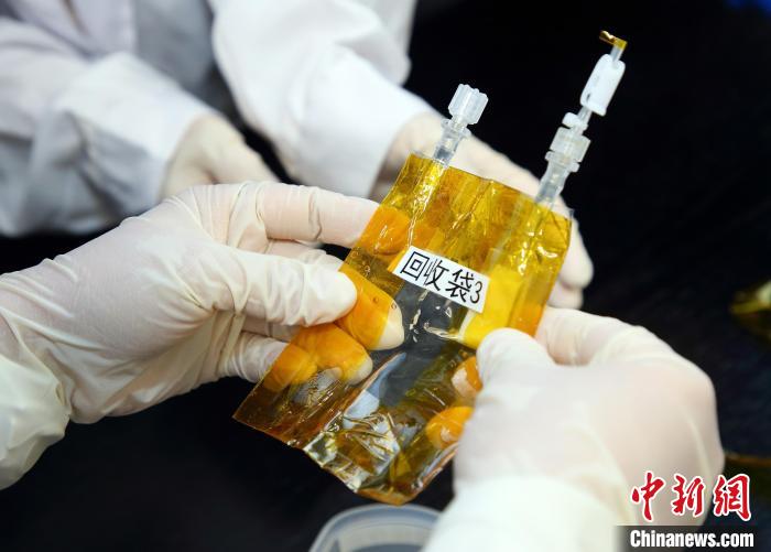 隨神舟十五號(hào)返回地面的空間科學(xué)實(shí)驗(yàn)樣品?！≈锌圃嚎臻g應(yīng)用中心 供圖