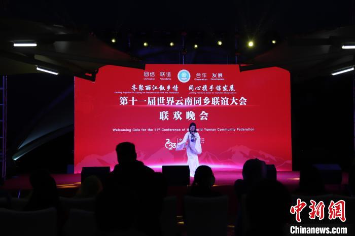 圖為第十一屆世界云南同鄉(xiāng)聯(lián)誼大會舉辦聯(lián)歡晚會。　崔永江 攝