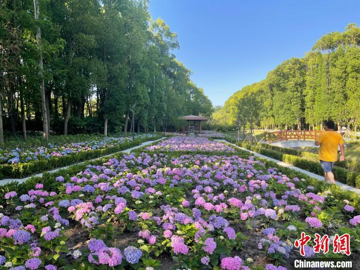 納民意、匯民智上海努力讓“公園城市”建設(shè)真正“合民心”