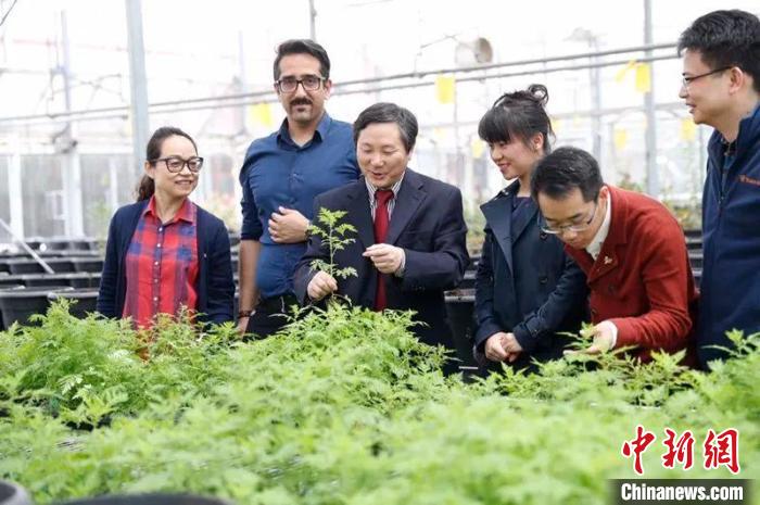 民盟盟員唐克軒當選歐洲科學(xué)院院士愿天下無“瘧”
