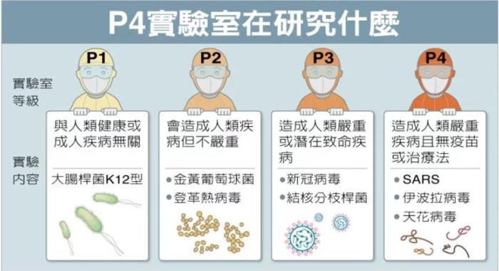 P4實(shí)驗(yàn)室在研究什么。臺(tái)灣聯(lián)合新聞網(wǎng)資料圖