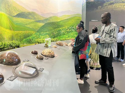   （在中國藥都中醫(yī)藥博物館，外媒記者了解中醫(yī)藥發(fā)展史。中國經濟周刊記者 郭志強 攝）