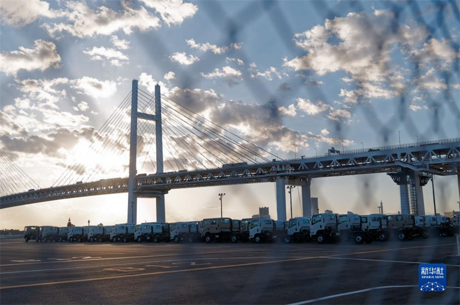 這是11月14日在日本橫濱拍攝的進(jìn)出口汽車集散場地。新華社記者 張笑宇 攝