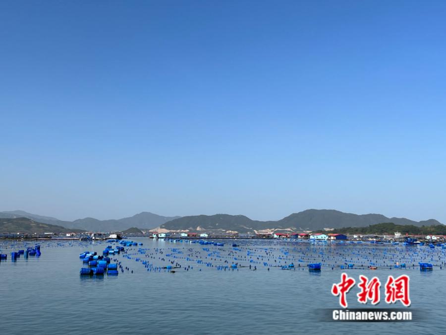 霞浦縣海上魚排。<a target='_blank' href='/' ><p  align=