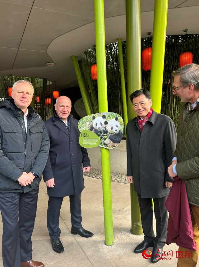 中國駐德國大使吳懇（右二）、柏林市長韋格納（左二）、動物園園長克尼里姆（右一）和監(jiān)事會主席布魯克曼（左一）共同為“夢想”“夢圓”大熊貓紀念牌揭幕。人民網(wǎng)記者 徐馨攝