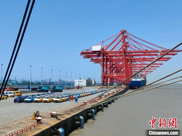 資料圖：國產(chǎn)新能源車在上海外高橋港區(qū)海通碼頭“整裝待發(fā)”?！∑址?攝