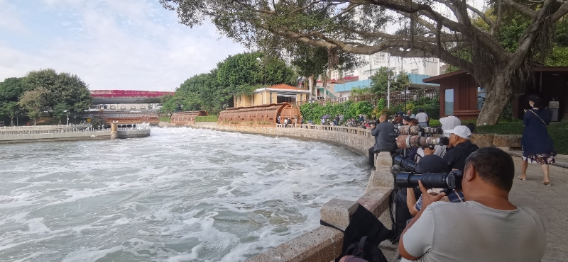 筼筜湖畔，許多攝影愛好者在拍攝白鷺。廈門市觀鳥協(xié)會(huì)彭志偉供圖