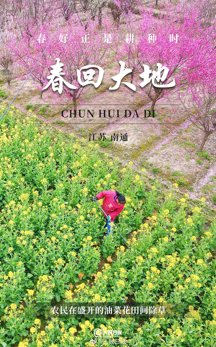 生機(jī)盎然！用課本封面打開(kāi)春耕畫(huà)卷