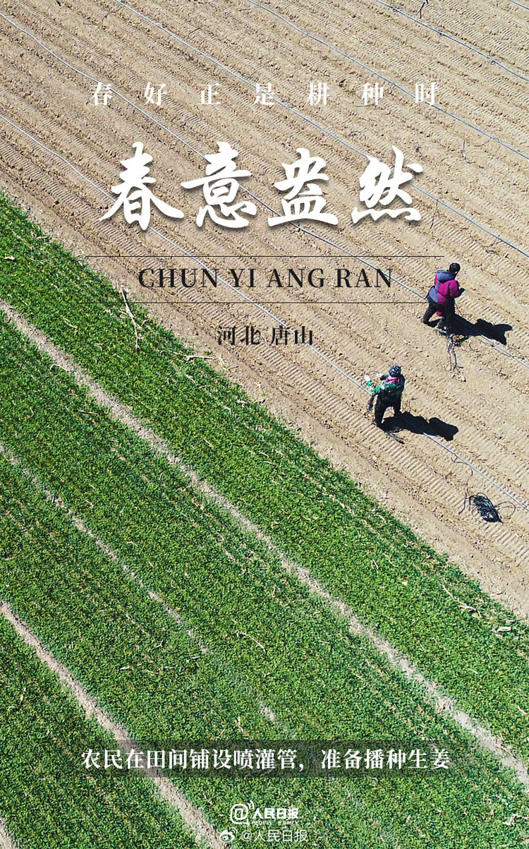 生機(jī)盎然！用課本封面打開(kāi)春耕畫(huà)卷
