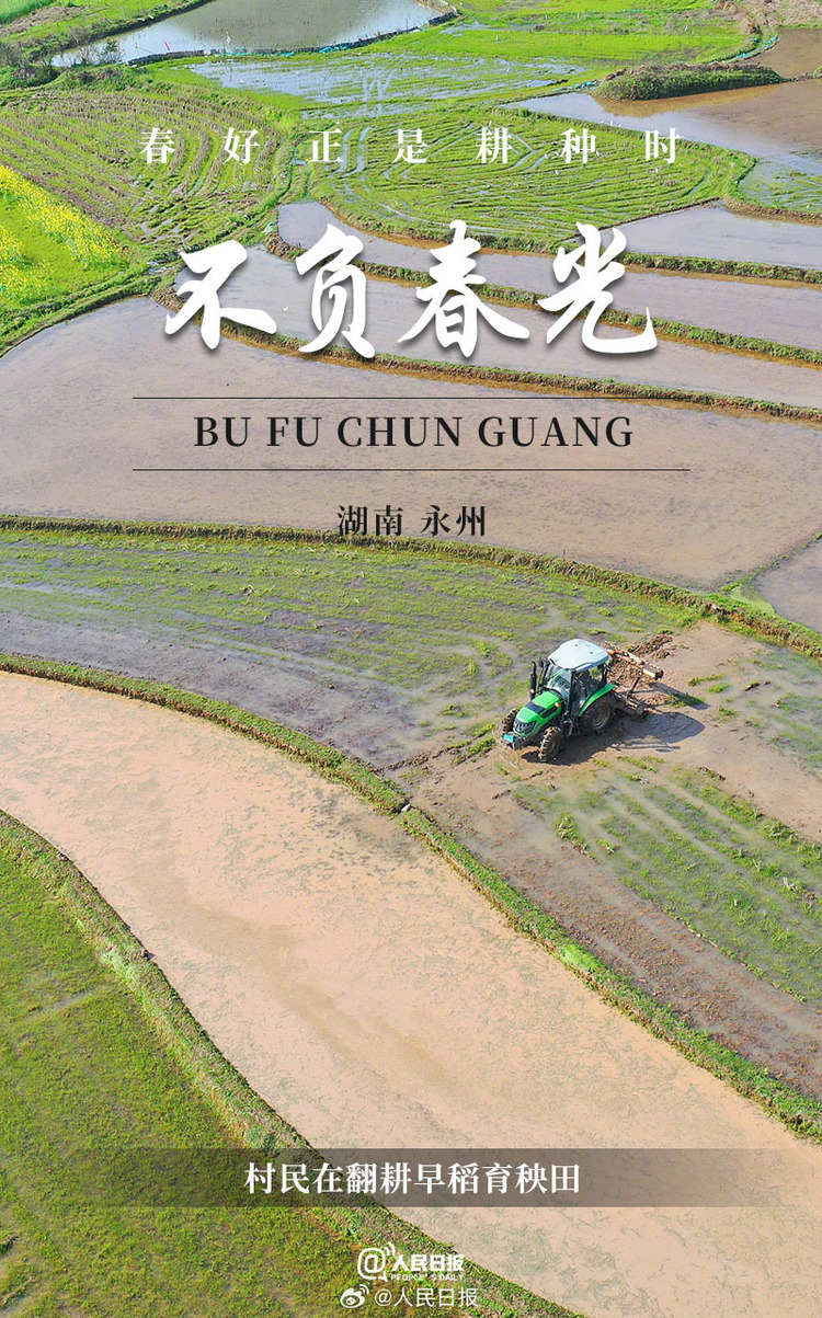 生機(jī)盎然！用課本封面打開(kāi)春耕畫(huà)卷