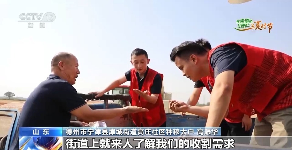 “三夏”生產(chǎn)思維導圖安排上了！還有政府大院等你來“曬”
