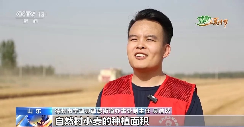 “三夏”生產(chǎn)思維導圖安排上了！還有政府大院等你來“曬”