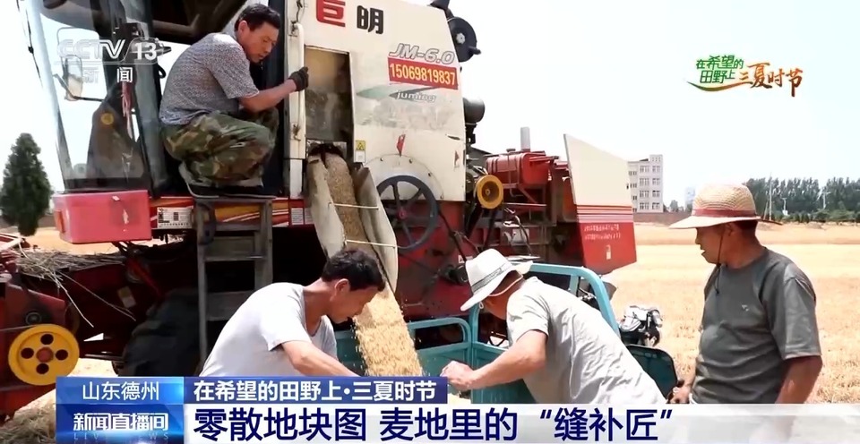 “三夏”生產(chǎn)思維導圖安排上了！還有政府大院等你來“曬”