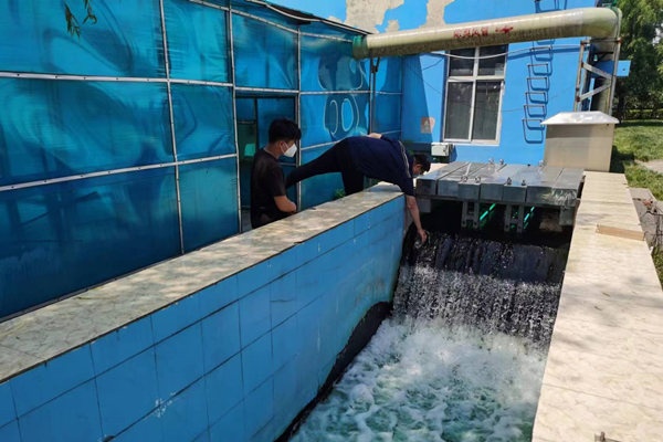 邯鄲市雞澤縣藍(lán)天污水處理廠員工正在出水口進(jìn)行水質(zhì)檢測。鄭佳欣攝