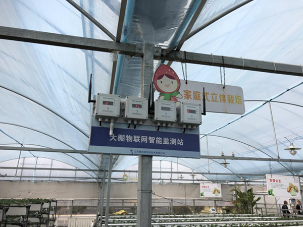 都市四季果園內(nèi)的物聯(lián)網(wǎng)智能監(jiān)測站系統(tǒng)。東?？h委宣傳部供圖