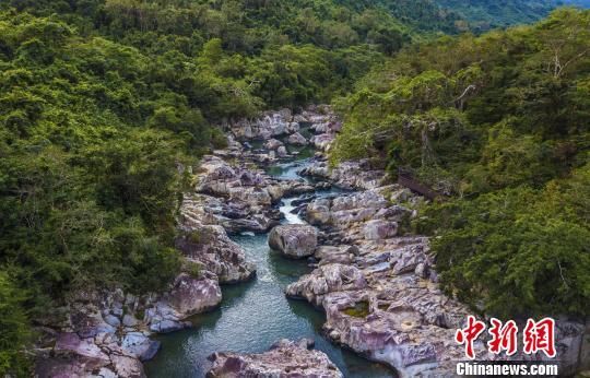 2018年海南生態(tài)環(huán)境狀況等級為“優(yōu)”，植被覆蓋率高，生物多樣性豐富，生態(tài)系統(tǒng)穩(wěn)定，圖為海南中部熱帶雨林?！●樤骑w　攝