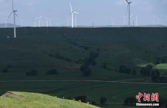 6月28日，河北張家口張北草原上大片風(fēng)力發(fā)電的“風(fēng)車”規(guī)模宏大。 中新社記者 楊艷敏 攝