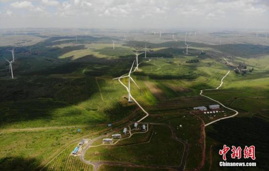 6月28日，河北張家口張北草原上大片風(fēng)力發(fā)電的“風(fēng)車”規(guī)模宏大。 中新社記者 楊艷敏 攝