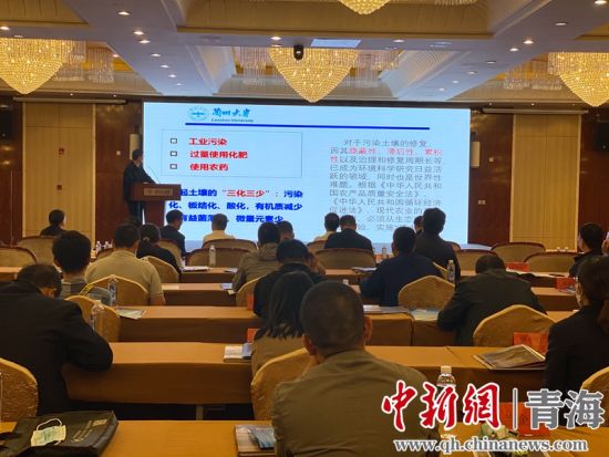圖為論壇現(xiàn)場。李江寧攝