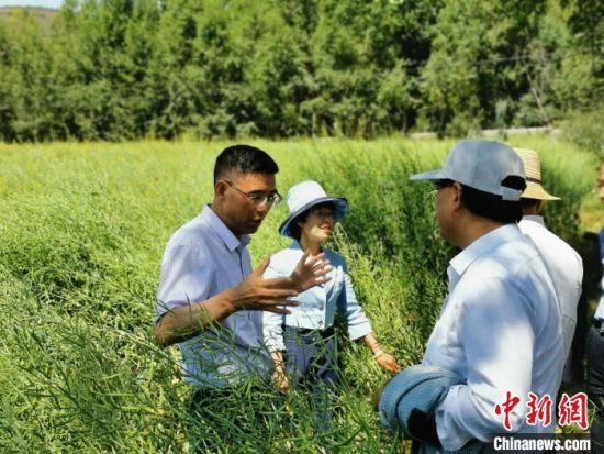 圖為九三學社青海省委主委杜德志(左一)在基層調研。受訪者供圖