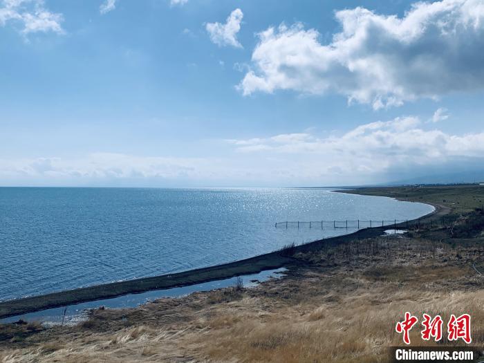 圖為青海湖畔。(資料圖) 張傲 攝
