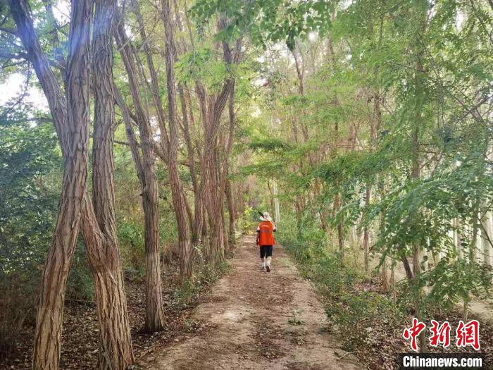 戈壁灘上的護林員：以前風吹睜不開眼，現(xiàn)在滿眼皆綠色