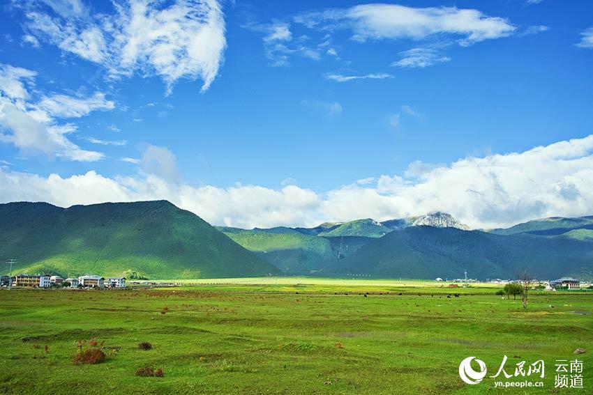 納帕海濕地風(fēng)景。呂昊辰攝
