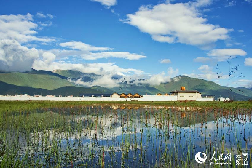 納帕海濕地風(fēng)景。呂昊辰攝