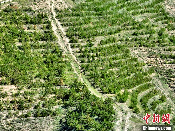 航拍建行青海省分行綠化區(qū)?！∑钤鲚?攝