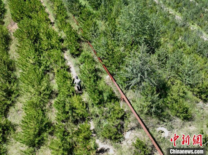 航拍建行青海省分行綠化區(qū)施工隊隊長盧占祥正在巡護綠化區(qū)?！∑钤鲚?攝