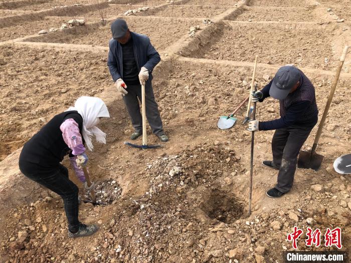 資料圖為建行青海省分行綠化區(qū)施工隊隊員處理亂石?！〗ㄐ星嗪Ｊ》中泄﹫D