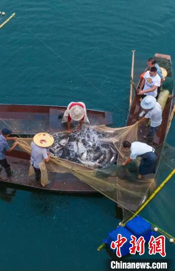 捕魚現(xiàn)場。　主辦方供圖