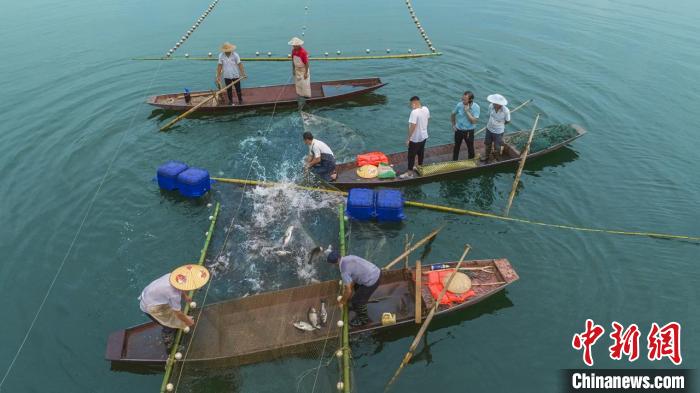 捕魚現(xiàn)場?！≈鬓k方供圖