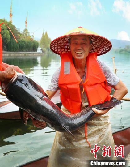 工作人員展示捕撈成果?！≈鬓k方供圖