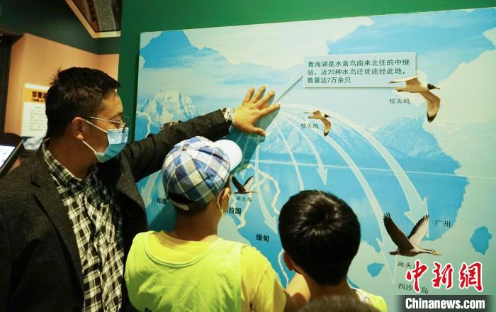圖為小朋友在青海西寧湟水國(guó)家濕地公園科普館內(nèi)參觀學(xué)習(xí)?！●R銘言 攝