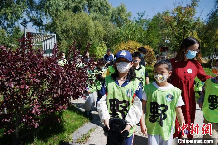 圖為小朋友在青海西寧湟水國(guó)家濕地公園內(nèi)認(rèn)識(shí)植物?！●R銘言 攝